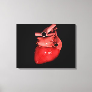 Toile Image Conceptuelle Du Coeur Humain 3