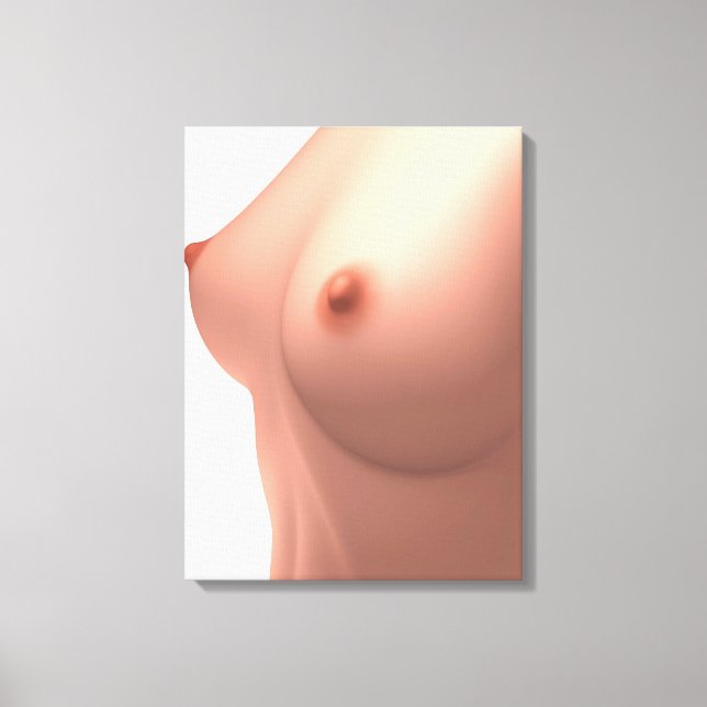 Toile Image Conceptuelle Du Sein Féminin (Recto)
