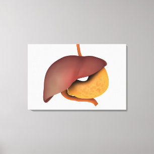 Toile Image Conceptuelle Du Système Digestif Humain 3