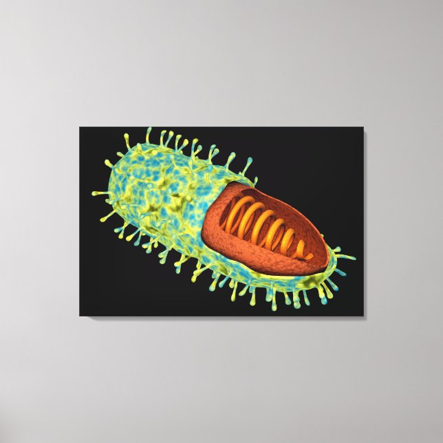 Toile Image Conceptuelle Du Virus De La Rage 3 (Recto)