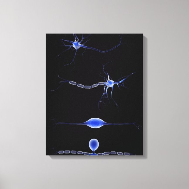 Toile Image Conceptuelle D'Un Neuron 1 (Recto)