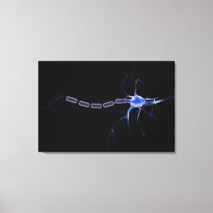 Toile Image Conceptuelle D'Un Neuron 2