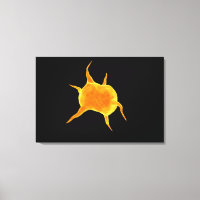 Image Conceptuelle D'Un Plateau