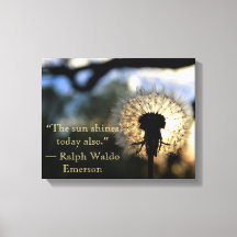 Image Dandelion
