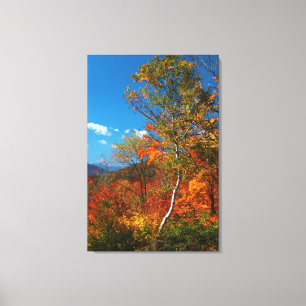 Toile Images d'automne