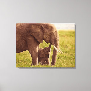 Toile Images Getty   Elephant & bébé