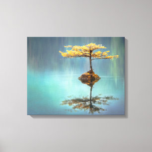 TOILE IMPRIMANTE DE CANVAS STRETCHÉ : ARBRE SUR UNE ÎLE