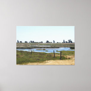 Toile Imprimer - Marshland Water