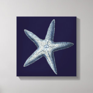 Toile Indigo Shells IV