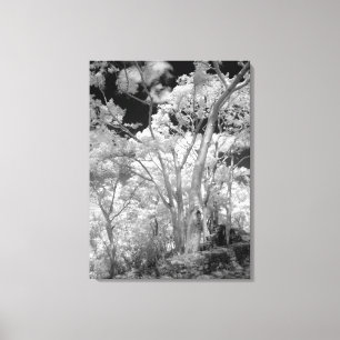 Toile Infrarouge d'arbres bâtiments et sentiers à Las 2