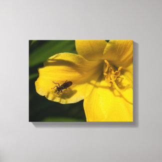 Toile Insecter sur une fleur jaune