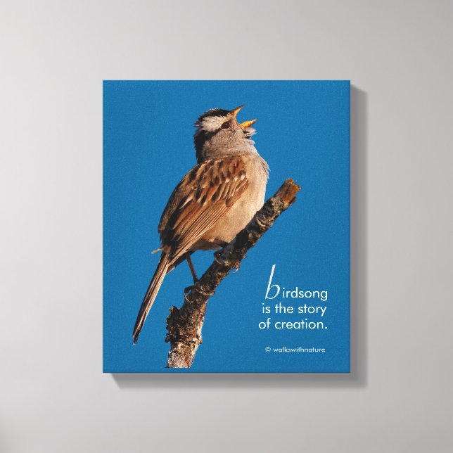 Toile Inspiration "Le chant des oiseaux est l'histoire d (Recto)