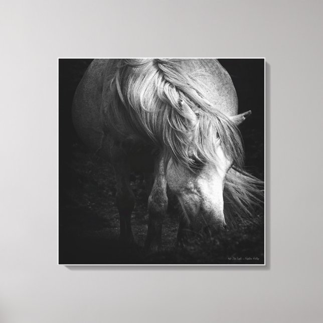 Toile Into the Light - Dartmoor Pony, fine art (Recto)
