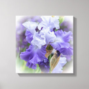 Toile Iris barbu royal - Violet et Blanc