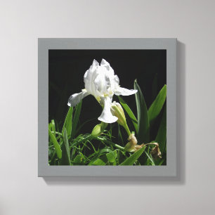 Toile Iris blanc pour votre mur 