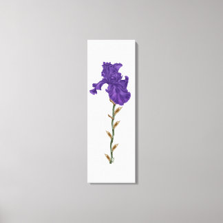 Toile Iris en floraison