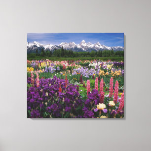 Toile Iris et Lupine jardin et Teton Range,