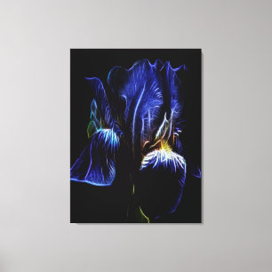 Toile Iris pourpre