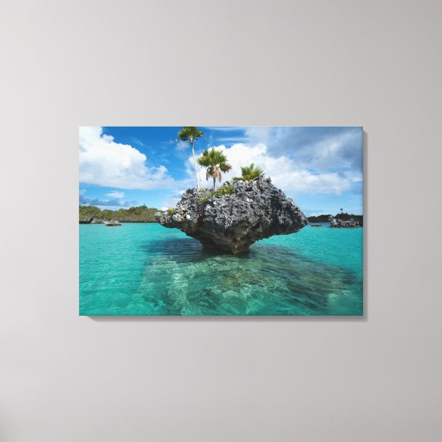 Toile Islet De Champignons À Fidji (Recto)