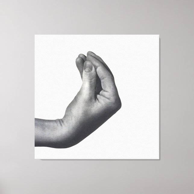 Toile  Italian Hand (Recto)