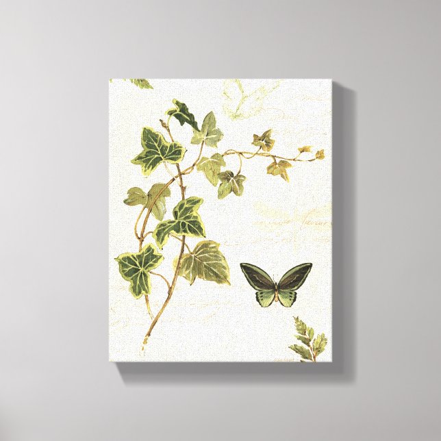 Toile Ivies et papillons (Recto)