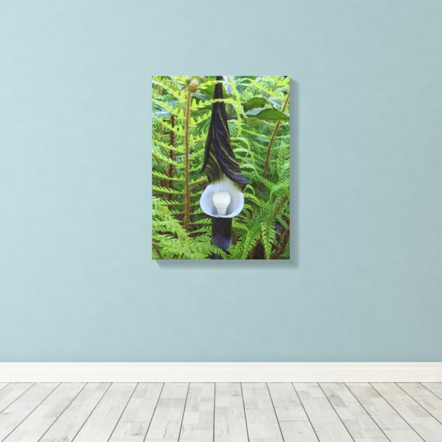 Toile Jack-in-the-Pulpit Plante Floral (Insitu (Plancher de Bois))