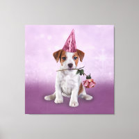 Jack Russell Terrier