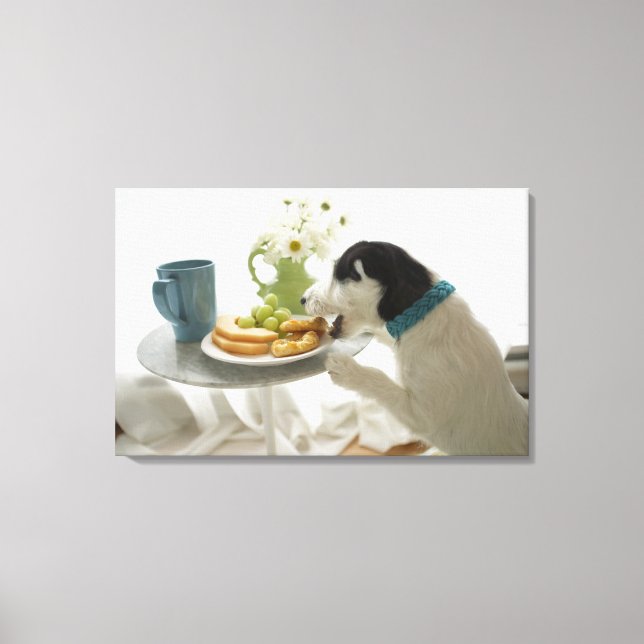 Toile Jack russell terrier. 4 (Recto)