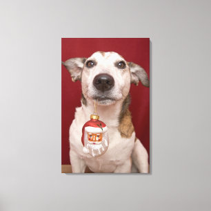 Toile Jack Russell Terrier Holding Ornament de Noël