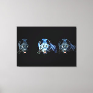 Toile Jaguar - Canvas enrobée de chatte à panthère noire