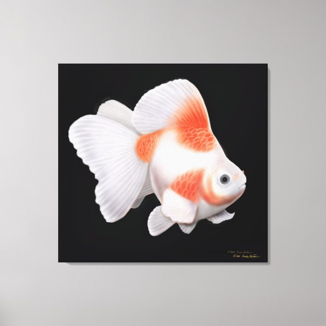 Toile Japonais Ryukin Fantail Goldfish Enveloppé Canvas (Recto)