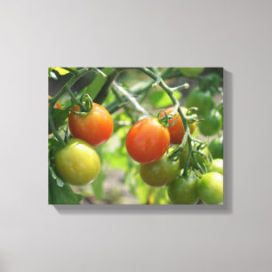 Toile Jardin Cherry Tomates Nature