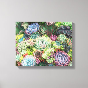 Toile Jardin coloré Succulent