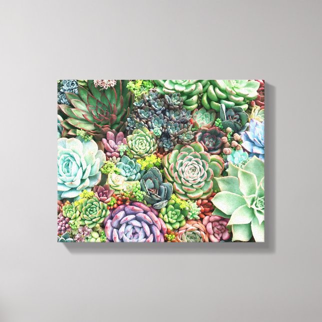 Toile Jardin coloré Succulent (Recto)
