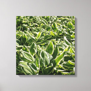 Toile Jardin Vert feuille Plantes Fête des pères papa Ca