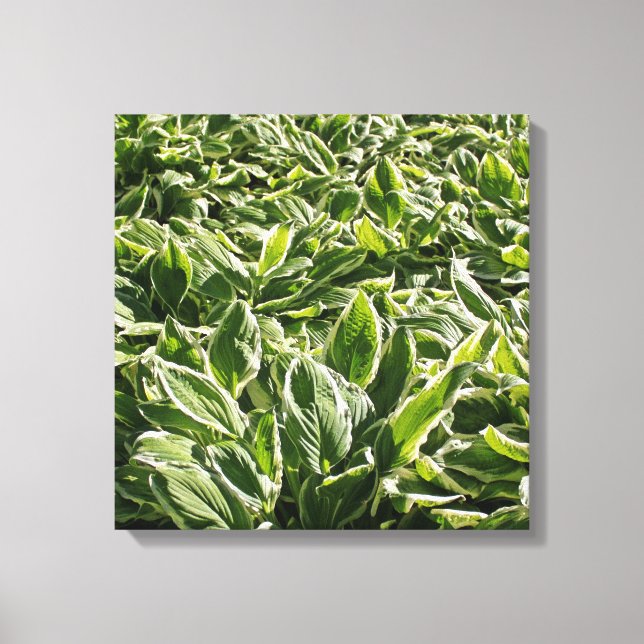 Toile Jardin Vert feuille Plantes Fête des pères papa Ca (Recto)