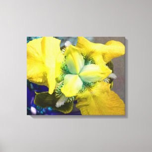 Toile jaune Iris