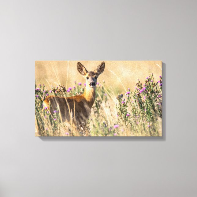 Toile Jeune cerf de chevreuil dans le pré (Recto)