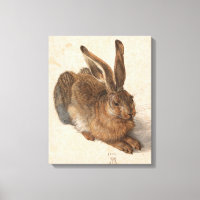 Jeune lièvre | Albrecht Dürer
