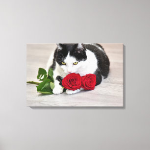 Toile Joli chat avec la rose rouge