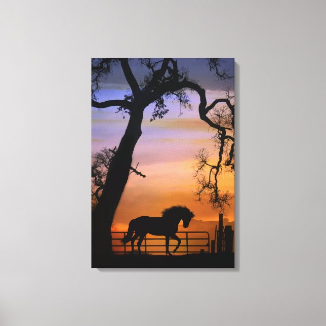Toile Joli cheval de campagne dans un Sunrise Sud-Ouest (Recto)