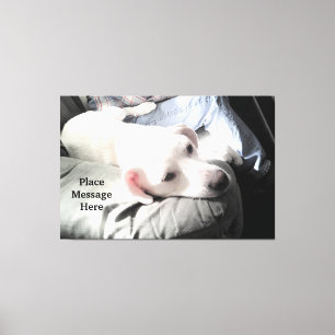Toile Joli chien blanc assis avec papa dans la lumière d