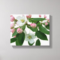 Joli rose cerisier fleurie belle moderne
