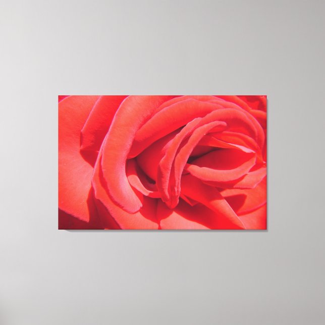 Toile joli rose rouge photo art. amour, mariage (Recto)