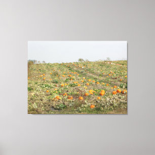 Toile Jolie ferme de citrouilles amish dans le Midwest C