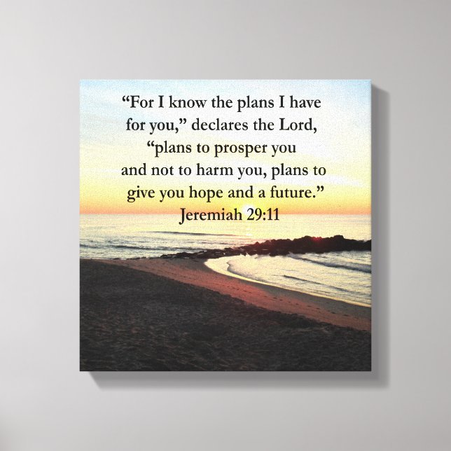 TOILE JOLIE JEREMIAH 29:11 PHOTO DU LEVER (Recto)