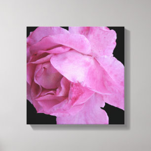 Toile Jolie rose rose simple moderne chic floral chic