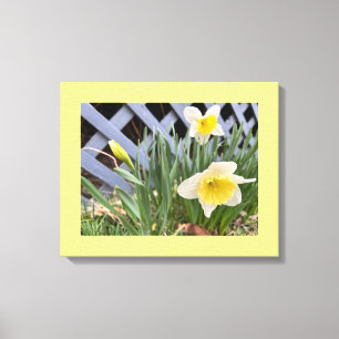 Toile Jonquilles Jaunes #2