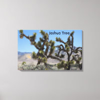 Joshua Tree en Californie