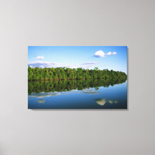 Toile Juruena, Brésil. Rive boisée de la rivière reflété